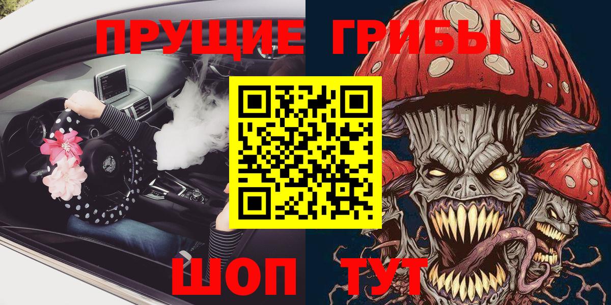 Тосно  Галлюциногенные грибы мицелий  Галлюциногенные грибы ЛСД  Вход с VPN 