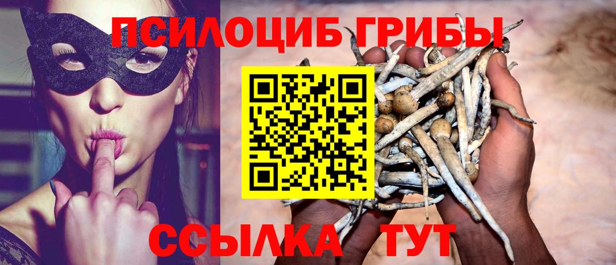 Псилоцибиновые грибы MAGIC MUSHROOMS Тосно