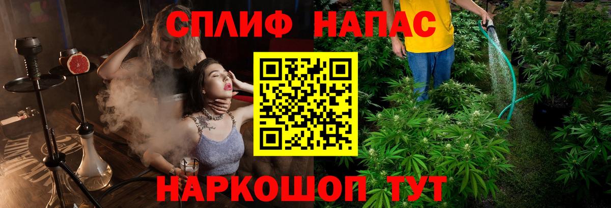 Бошки Шишки THC 21% Тосно